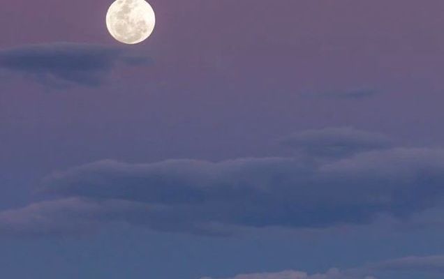 Downloading Light - Super Moon photo by Loren Mariani