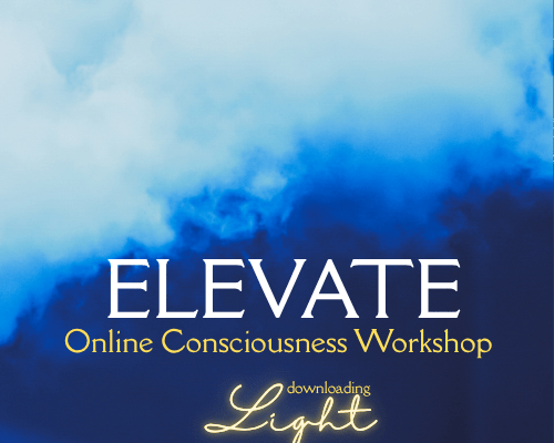 Image for Sin Mariani's monthly online workshop ELEVATE!